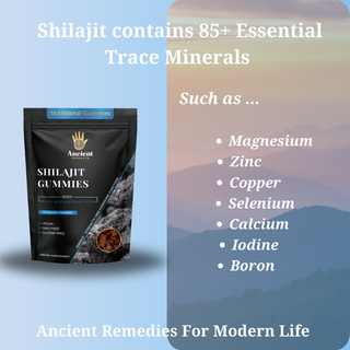 Shilajit Gummies Blueberry Flavour