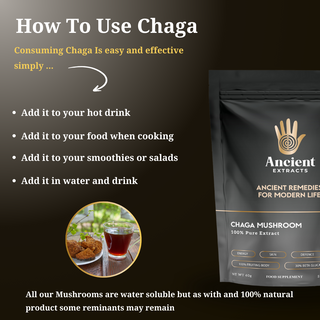 Organic Chaga Mushroom Extract Powder 30% Beta-Glucan (60g)