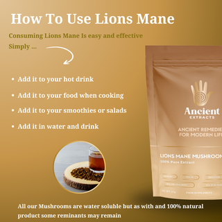 Organic Lion’s Mane Mushroom Extract Powder 30% Beta-Glucan (60g)