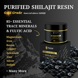 Organic Purified Himalayan Shilajit Resin Superfood (50g)