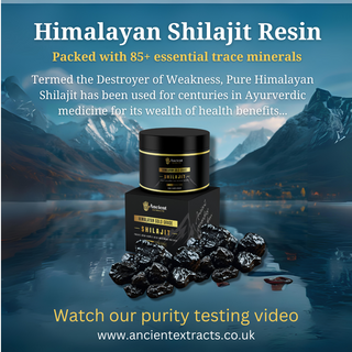 Organic Purified Himalayan Shilajit Resin Superfood (50g)