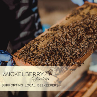 Elderberry Honey Tonic — immune support for kids and adults